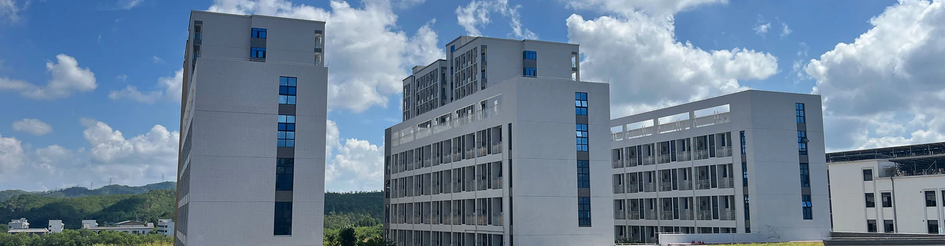 গোপনীয়তা নীতি